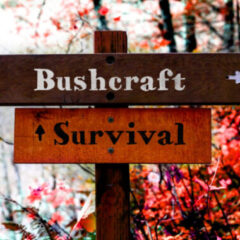 Bushcraft & Survival Fertigkeiten. Darauf kommt es an.